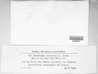 Image Associated With the Occurence